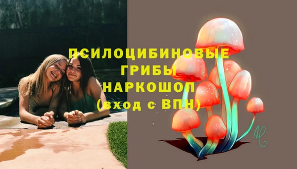 бутират Алзамай