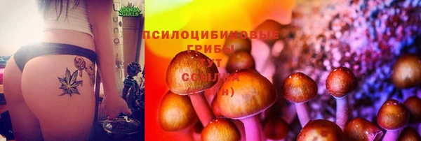бутират Алзамай