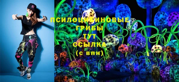 СК Алексеевка