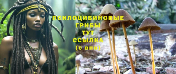 СК Алексеевка
