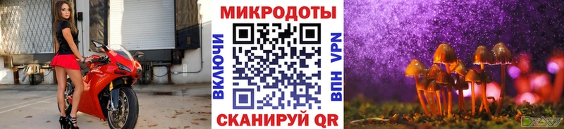 Галлюциногенные грибы ЛСД  blacksprut ONION  Куртамыш  как найти закладки 